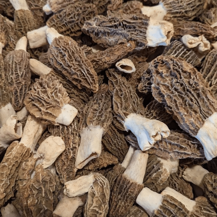 Seasonal Mushrooms